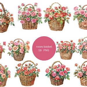 19 個のバラのバスケットの水彩画クリップアート、花のクリップアート、透明な背景の PNG デジタル ファイル、昇華、商用利用