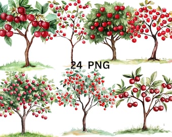 24 Cherry Trees Watercolor Clipart, PNG digital files on transparent background, sublimation, commercial use