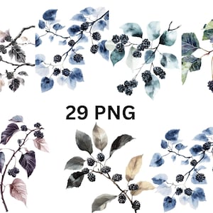 Rama de moras en acuarela, imágenes prediseñadas: 29 ilustraciones botánicas PNG, imágenes PNG individuales sobre fondo transparente, sublimación