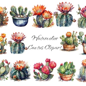 Aquarelle Cactus Clip Art, fichiers numériques PNG sur fond transparent, cactus, scrapbook, invitations, utilisation commerciale, téléchargement immédiat