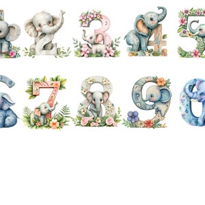 Acuarela Elefante Números Clipart, imágenes individuales PNG, uso comercial, fondo transparente, sublimación