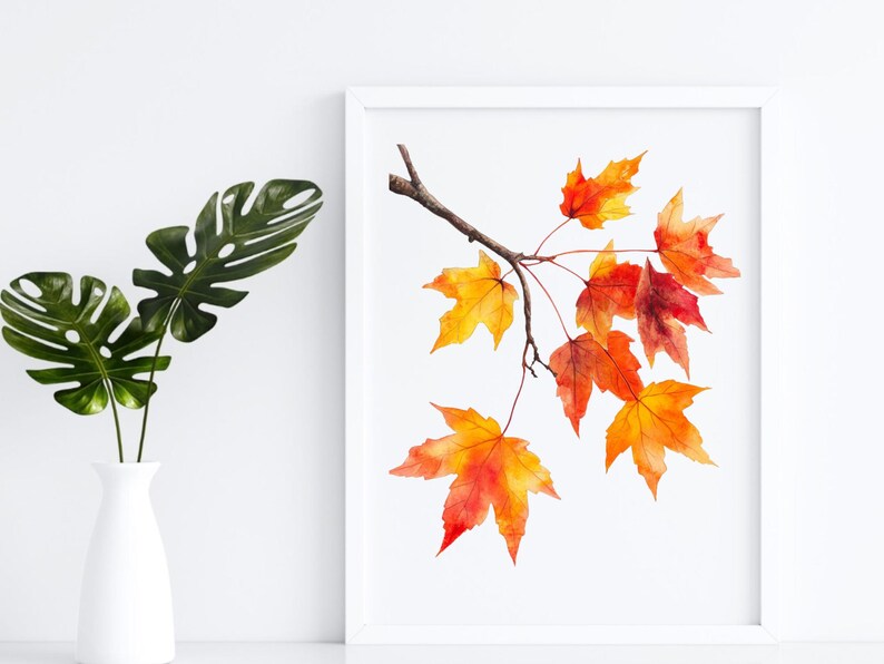 K&ouml;nnte beinhalten: Aquarellmalerei eines Zweigs mit orangefarbenen, roten und gelben Ahornbl&auml;ttern. Die Bl&auml;tter sind realistisch gemalt und haben eine zarte, flie&szlig;ende Qualit&auml;t. Das Gem&auml;lde ist vor einem wei&szlig;en Hintergrund platziert.