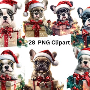 28 Santa Französische Bulldogge Clipart, Weihnachtscliparts, PNG einzelne Bilder auf transparentem Hintergrund, Sublimation