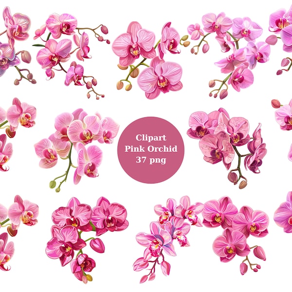 Pink Orchid Clipart, PNG individual images on transparent background, sublimation, commercial use