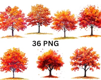 Watercolor Autumn Tree Clipart | 36 PNG individual images on transparent background, sublimation