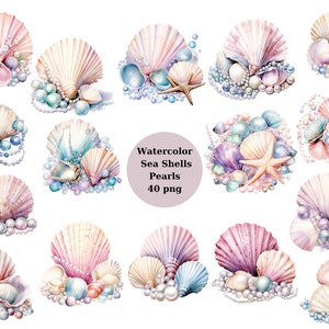 Acuarela Sea Shells Pearls Clipart, imágenes individuales PNG sobre fondo transparente, sublimación, uso comercial