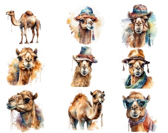 Camels Clipart Bundle, Watercolour, clipart, 20 cute PNG images, high quality, transparent background, 12x12, commercial use