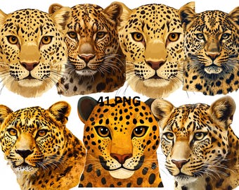 Leopard Clipart Bundle, Wild Leopard Faces PNG, Big Cat Illustration, Transparent Background,Commercial Use, Instant Download
