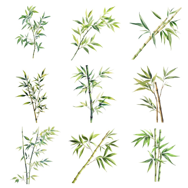 May include: Watercolour illustration of nine different bamboo branches with green leaves. The branches are in various positions and sizes, and some have brown bamboo stalks.