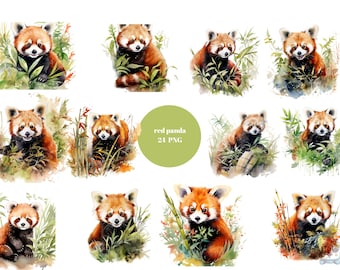 24 Red Pandas Watercolor Clipart, Animal Clipart, PNG individual images on transparent background, sublimation, commercial use