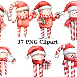 37 Candy Cane Characters Watercolor Clipart, Christmas Clipart, PNG individual images on transparent background, sublimation