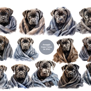 34 Snuggly Cane Corso Watercolor Clipart, Dogs Clipart, PNG individual images on transparent background, sublimation