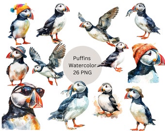 Acuarela Puffins Clipart, Atlantic Puffin Clipart, archivos digitales PNG sobre fondo transparente, sublimación, uso comercial
