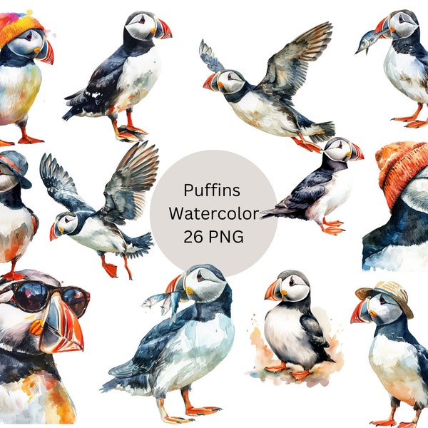 Watercolor Puffins Clipart, Atlantic Puffin Clipart, PNG digital files on transparent background, sublimation, commercial use