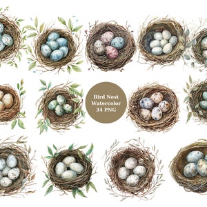 Clipart nid d'oiseau aquarelle, nid d'oiseau avec des oeufs PNG sur fond transparent, sublimation, usage commercial