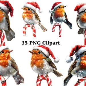 35 cliparts aquarelle de pères Noël rouges-gorges sur des cannes de bonbon, clipart Noël, images individuelles PNG sur fond transparent, sublimation