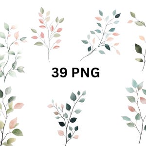 39 takken aquarel clipart, natuur clipart, individuele png-afbeeldingen op transparante achtergrond, sublimatie
