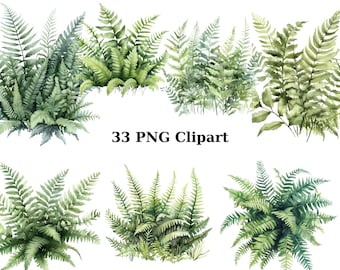 33 skogsormbunkar akvarell Clipart, natur Clipart, PNG individuella bilder på transparent bakgrund, sublimering