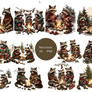 23 cliparts de vacances de ratons laveurs, clipart Noël, images individuelles PNG sur fond transparent, sublimation