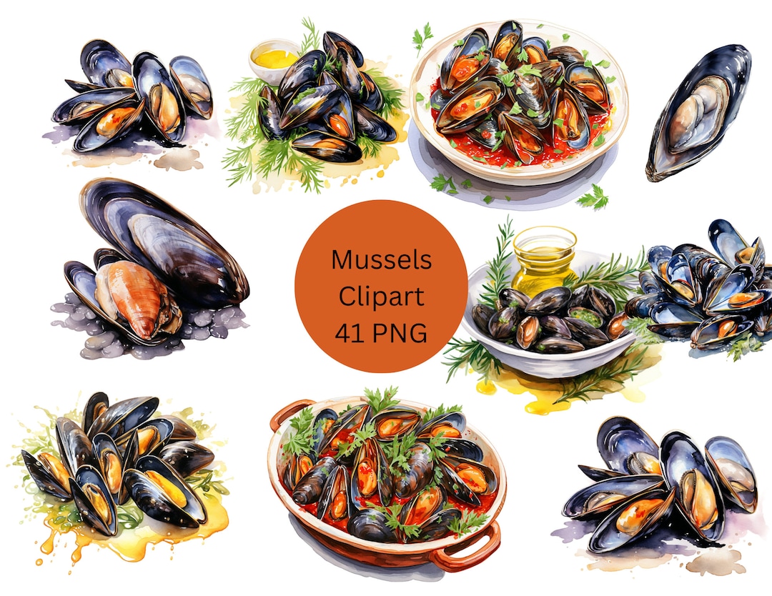 Watercolor Mussels Clipart PNG Digital Files on Transparent Etsy
