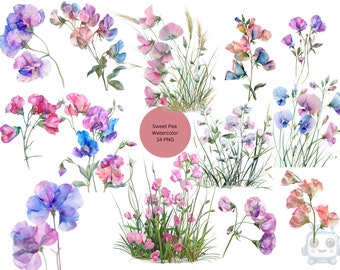Acuarela Sweet Pea Clipart, imágenes individuales PNG florales sobre fondo transparente, sublimación, uso comercial