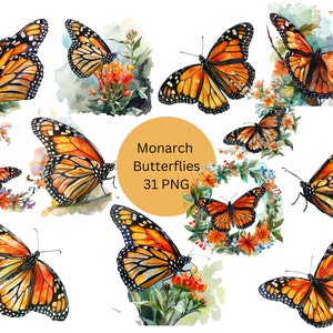 Aquarelle Monarch Butterfly Clipart, fichiers numériques PNG sur fond transparent, sublimation, utilisation commerciale