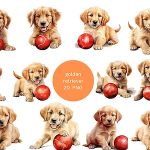 20 cliparts aquarelle de golden retrievers ludiques, clipart chiens, images individuelles PNG sur fond transparent, sublimation
