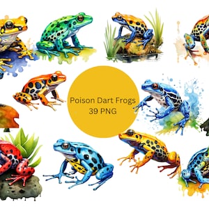 Aquarelle Poison Dart Frogs Clipart, clipart animal, fichiers numériques PNG sur fond transparent, sublimation