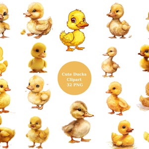 32 Cute Ducks Clipart, PNG individual images on transparent background, sublimation, commercial use