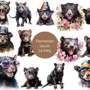 Acuarela Tasmanian Devil Clipart, archivos digitales PNG sobre un fondo transparente, álbum de recortes, invitaciones