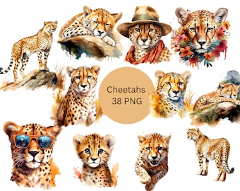 Watercolor Cheetahs Clipart, PNG digital files on transparent background, scrapbook, sublimation, commercial use