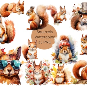 Aquarelle écureuils Clipart, fichiers numériques PNG sur fond transparent, sublimation, usage commercial