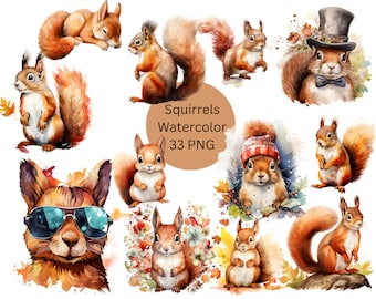 Aquarell Eichhörnchen Clipart, PNG digitale Dateien auf transparentem Hintergrund, Sublimation, kommerzielle Nutzung