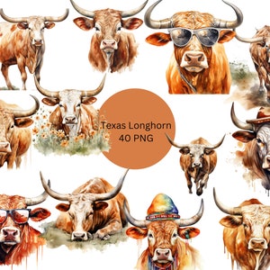 Watercolor Texas Longhorn Clipart, Cattle PNG, digital files on a transparent background, commercial use