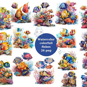Aquarell bunte Fische Clipart, PNG digitale Dateien auf transparentem Hintergrund, Sublimation, kommerzielle Nutzung