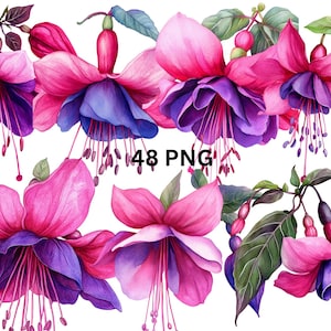 48 Fuchsia Flowers Watercolor Clipart, PNG digital files on transparent background, sublimation, commercial use