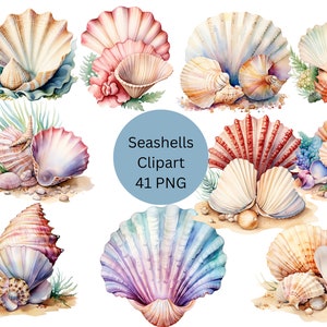 Puede incluir: Ilustración de acuarela de conchas marinas en varios colores y formas, incluyendo rosa, azul, blanco y rojo. Las conchas están dispuestas en un grupo sobre un fondo blanco. Seashells Clipart 41 PNG