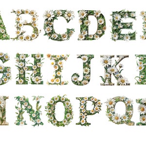 Alfabeto de flor margarida, letras png, alfabeto png, download instantâneo para uso comercial, alta resolução, 12x12, uso comercial