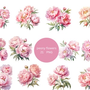 21 牡丹の花の水彩画クリップアート、花のクリップアート、透明な背景の PNG 個別画像、昇華