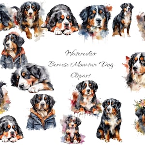 Aquarell Berner Sennenhund Clipart, digitale PNG-Dateien, Scrapbook, Einladungen, kommerzielle Nutzung, sofortiger Download
