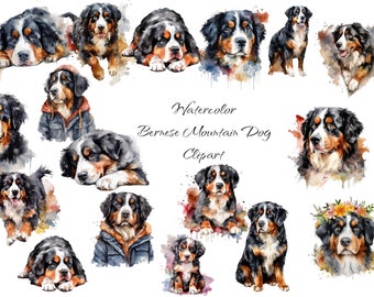 Watercolor Bernese Mountain Dog Clipart, PNG digital files, scrapbook, invitations, commercial use, instant download
