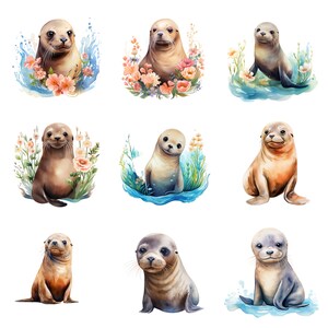 May include: Nine watercolor illustrations of seals in various poses. The seals are depicted in a variety of colors, including brown, gray, and white. Some of the seals are surrounded by flowers and water.