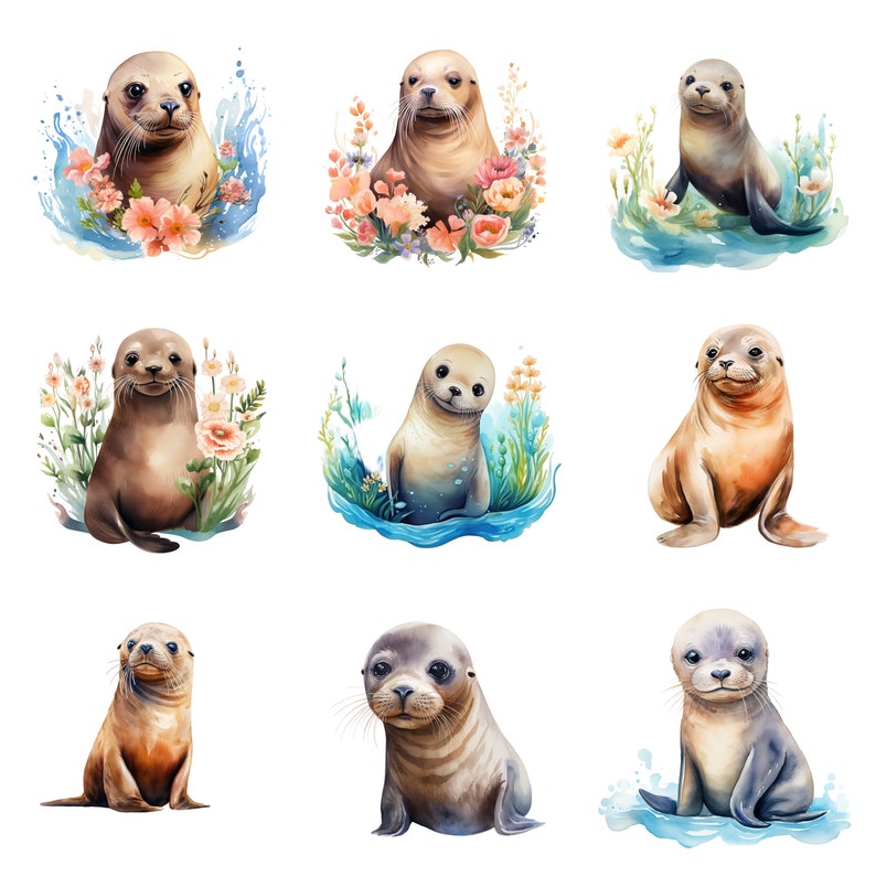 May include: Nine watercolor illustrations of seals in various poses. The seals are depicted in a variety of colors, including brown, gray, and white. Some of the seals are surrounded by flowers and water.