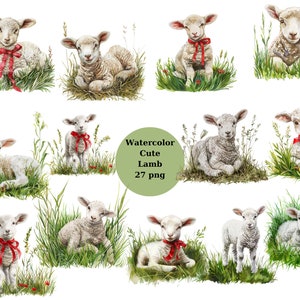 Watercolor Lamb Clipart, PNG digital files on a transparent background, scrapbook, sublimation, commercial use