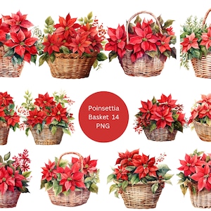 14 Poinsettia Baskets Watercolor Clipart, Floral Clipart, PNG individual images on transparent background, sublimation