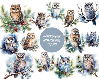 Watercolor Winter Owls Clipart, PNG digital files on transparent background, scrapbook, sublimation, commercial use