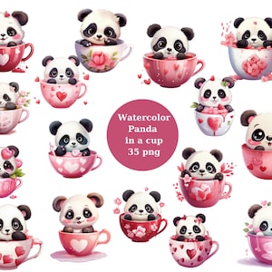 Panda dans une tasse, Saint-Valentin, graphiques clip art en PNG pour un usage commercial téléchargement instantané Haute résolution, 12x12, utilisation commerciale