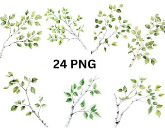 May include: A set of 24 watercolour illustrations of birch branches with green leaves. The branches are isolated on a white background.