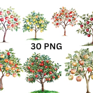 Aquarell Apfelbäume Clipart, 30 PNG Apfelorchard Bäume, PNG Einzelbilder auf transparentem Hintergrund, Sublimation