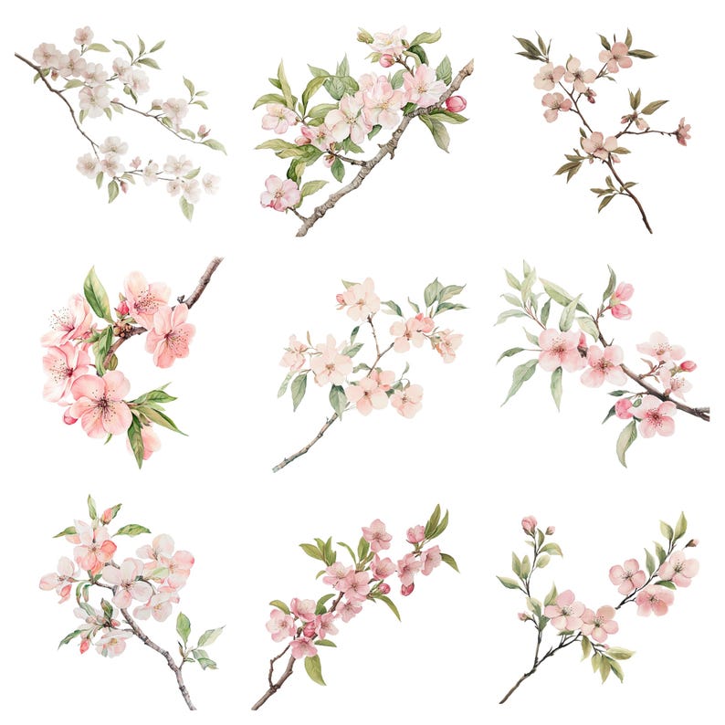 Cherry Blossom Branch Clipart 33 PNG Digital Watercolor Sakura Branches